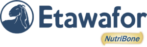 susu etawa - susu kambing etawa